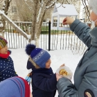 “Құстар -біздің досымыз” акциясы