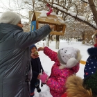 Наблюдение за птицами зимой. 