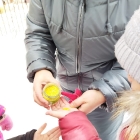 Наблюдение за птицами зимой. 